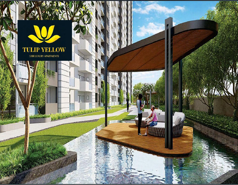 Paradise Consulting Tulip Yellow Sector 69 Gurgaon Tulip Yellow Sector 69 Gurgaon
